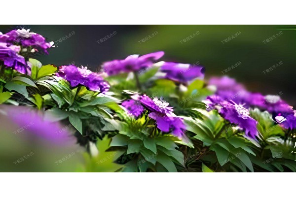 走进杭州,发现隐藏的茶馆小天地 走进杭州,发现隐藏的茶馆小天地